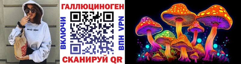 Купить  Грязи  Галлюциногенные грибы Psilocybe 