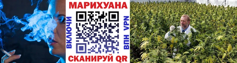 Купить где  Грязи  МАРИХУАНА планчик 